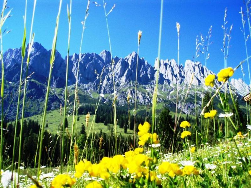 Gaestehaus Gschwandtner Mühlbach am Hochkönig المظهر الخارجي الصورة